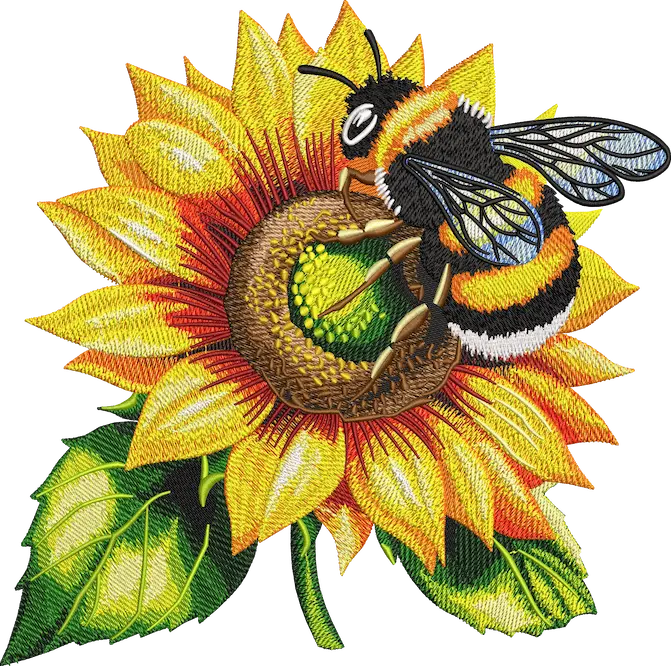 Company Logo Digitizing